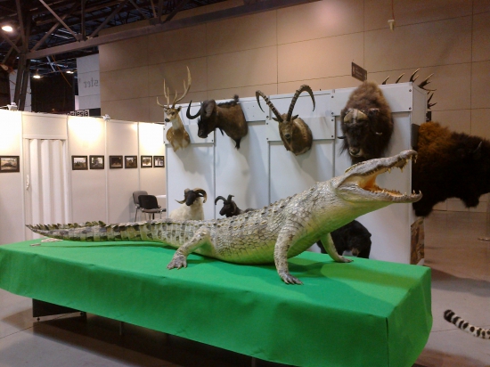 Aj takéto možno u nás stretnúť :D