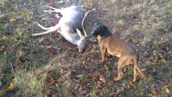 Niečo zo sezóny 2013