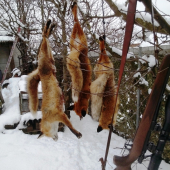 Úspešný zimný večer