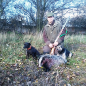 Netradičný úlovok na hone na bažanty