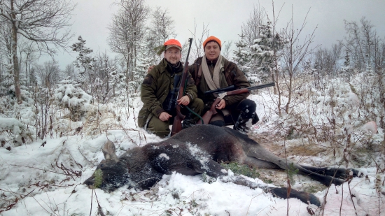 Lov na losy a tetrovy vo Švédsku