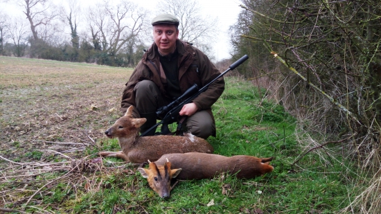 munžak a čínsky vodný srnček