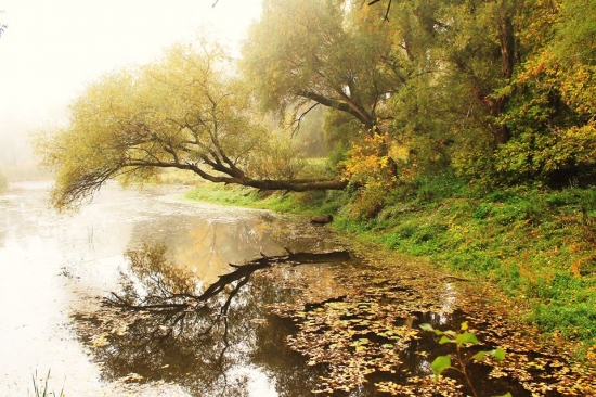 Jedno jesenné ráno