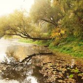 Jedno jesenné ráno