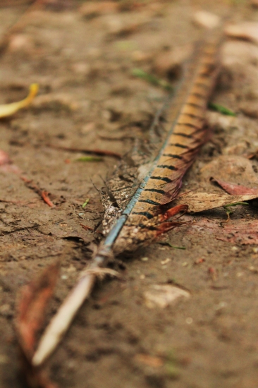 Maličkosť, ktorá poteší.