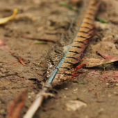 Maličkosť, ktorá poteší.