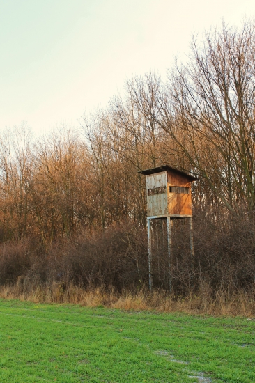 Z dnešnej prechádzky...