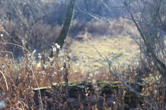 Zasvietilo slniečko...