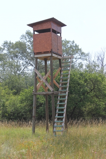 Nový, krásny a vysoký v našom revíre :)