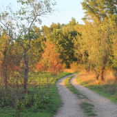 Jeseň je blízko...