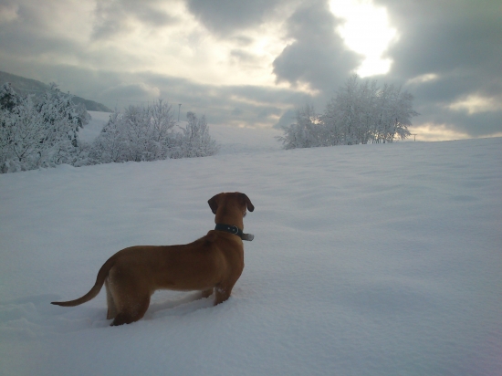 prvý krát na snehu