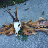 srncia podložka nad dvere