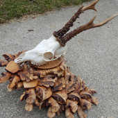 Podložka na srnčiu