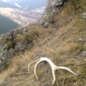 neskoro ale poteší