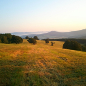 Spomienka na leto