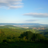 Paráda