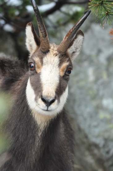 Bližšie sa už nešlo.