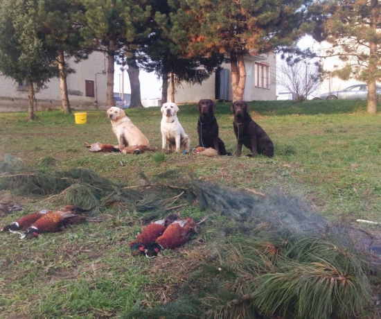 Naša posledná tento rok