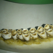 Jeleň  9r