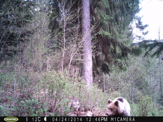 Maminka s drobčekom