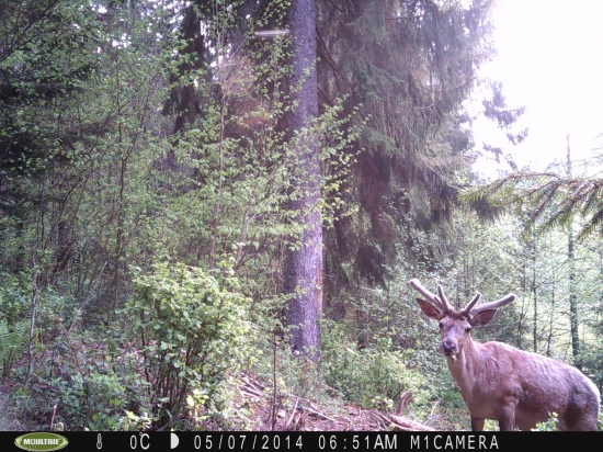 ...jednu na občiansky, prosím :)