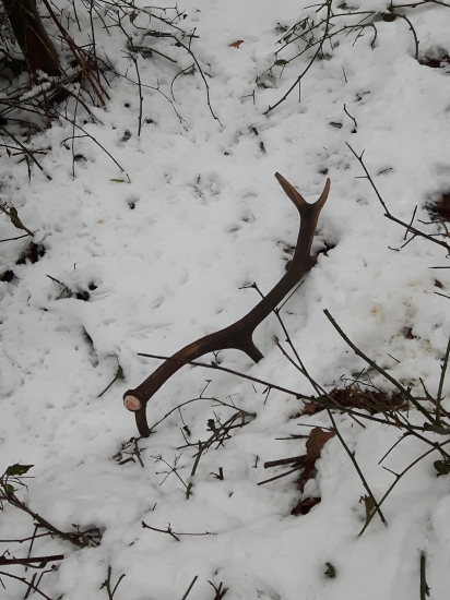 Konečne! 1/2016. :)