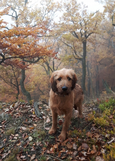 objavujúc jeseň. :)