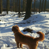 Vetrí :-)