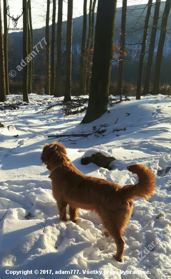 Vetrí :-)