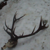 tri mesiace sme chodili kolo neho