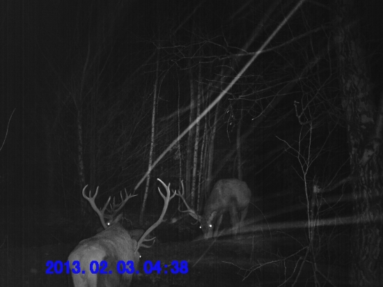 2 pekne 14 toraky a 1 ralita