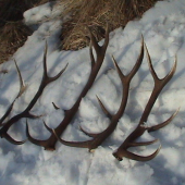 Vydarená marcová sobotka