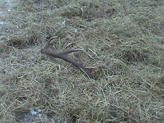 Už si na dobrom mieste