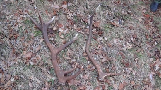 Dnešný výjazd s kamarátom