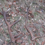 Dnešný výjazd s kamarátom