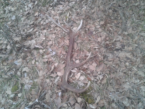 aj dnes sa darilo 2.5kg