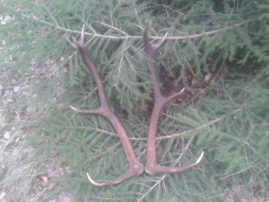 Ležali tam asi tyždnen