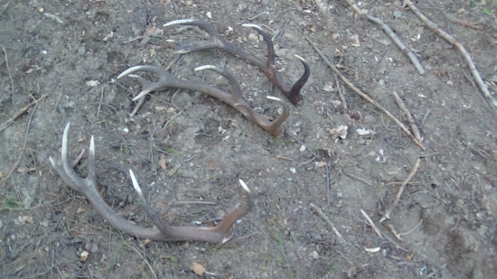 Dnešné štastiečko