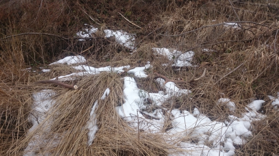 Ej včera ste tam neboli