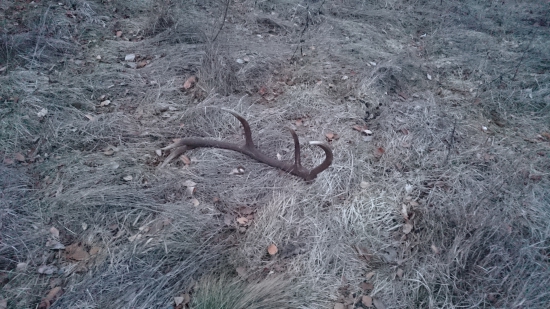 Keď už slnko zapadlo a štastie sa usmialo