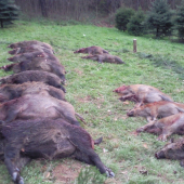 Skúšky duričov PZ Uhorské