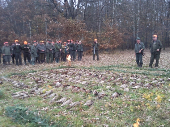 hosťovská na drobnú