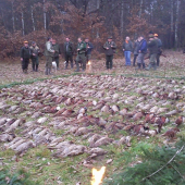 poplatková na drobnú zver