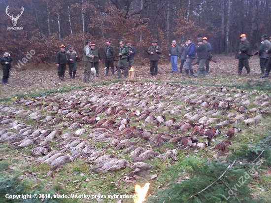 poplatková na drobnú zver