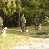 Lajky na severe ,,,vsetky v 1cene