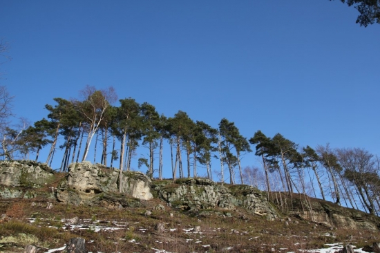 Pod bezdězem - oblíbené místo muflonů