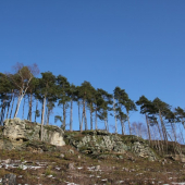 Pod bezdězem - oblíbené místo muflonů