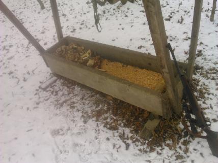 Lakocinky pre diviakov