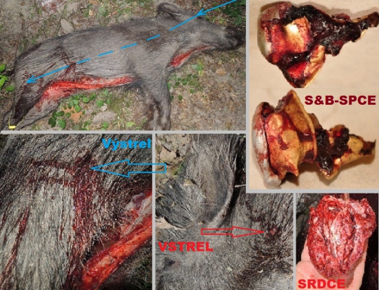S&B SPCE 12,7g- 8x57JS