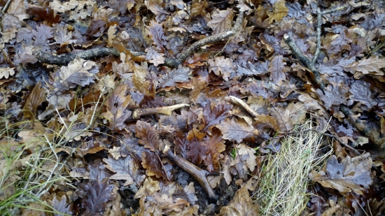 takto som ich nasiel,pamiatka na cely zivot